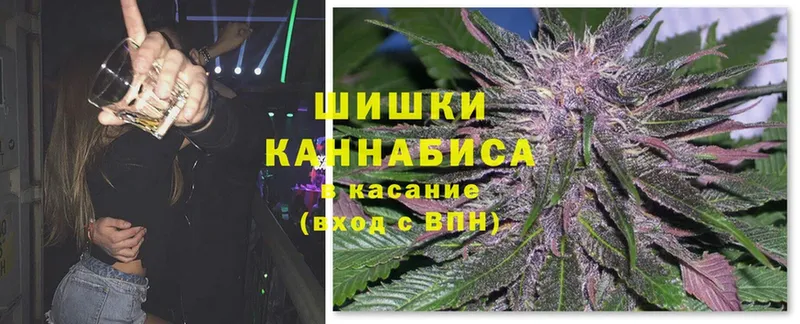 Каннабис OG Kush  Курган 